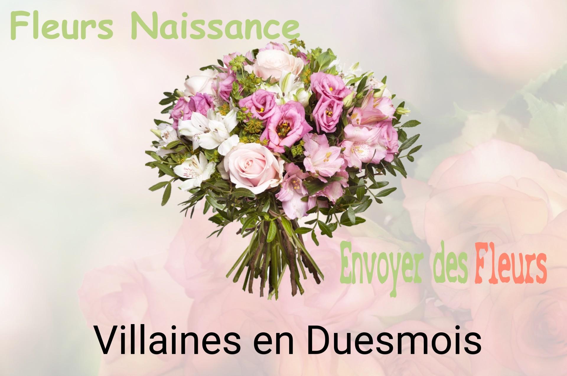Bouquet de fleurs de naissance livré à Villaines-en-Duesmois
